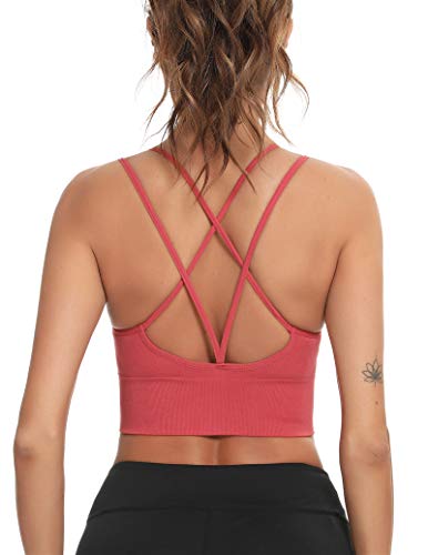 Enjoyoself Damen Sport BH Gekreuzt Rücken Push Up Bra Padded Sexy Nahtlos Bustier für Yoga Fitness Tranning von Enjoyoself