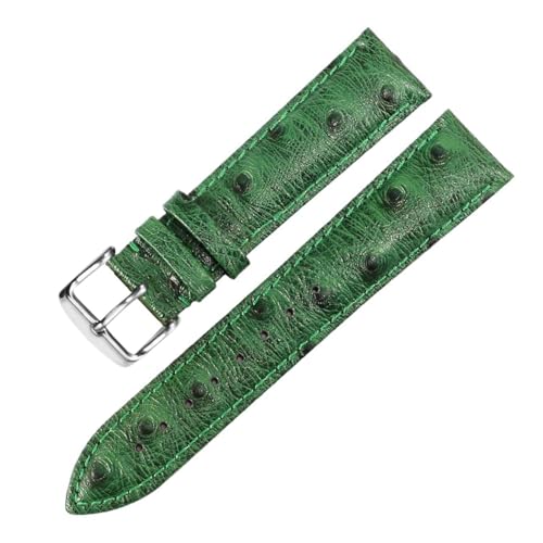 Eoyajsze Uhrenarmband aus echtem Straußenleder mit Butterfly-Verschluss, 12–24mm, Grün-p, 21mm Eoyajsze Uhrenarmband aus echtem Straußenleder mit Butterfly-Verschluss, 12–24mm, Grün-p, 21mm von Eoyajsze