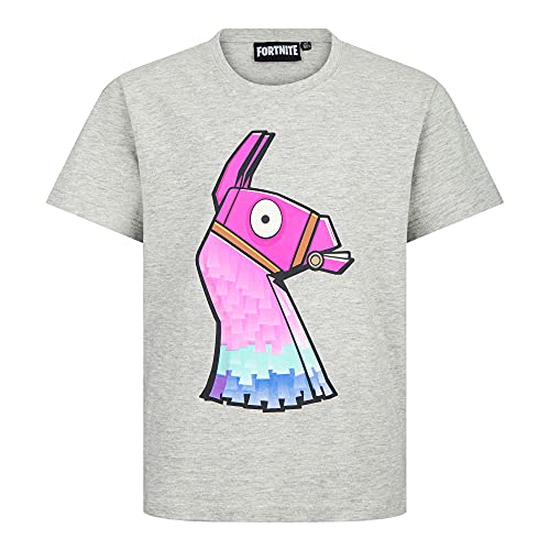 Fortnite LAMA Jungen T-Shirt - grau 176 (16 Jahre) von Fortnite