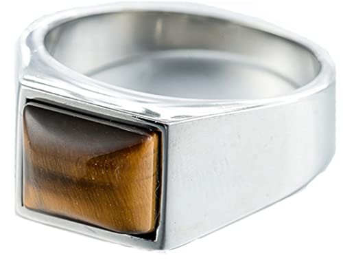 Epinki Herren Ringe in Edelstahl, Einfacher Stil Glatt Rechteck Form Edelstahlringe Freundschaftsringe Herrenringe mit Braun Tigerauge Gr.60 (19.1) von Epinki
