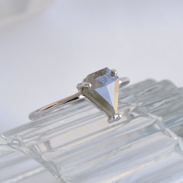 Eppi Goldener Ring mit Pentagon Salt and Pepper Diamant Azat von Eppi