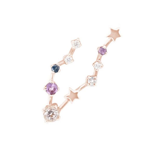 Eppi Ohrringe mit Sternzeichen Pisces von Eppi