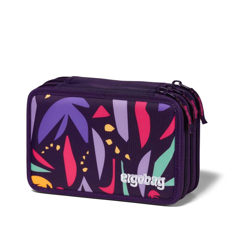 Ergobag - AmBärzonas Maxi Mäppchen Gelb, Pink, Lila von Ergobag