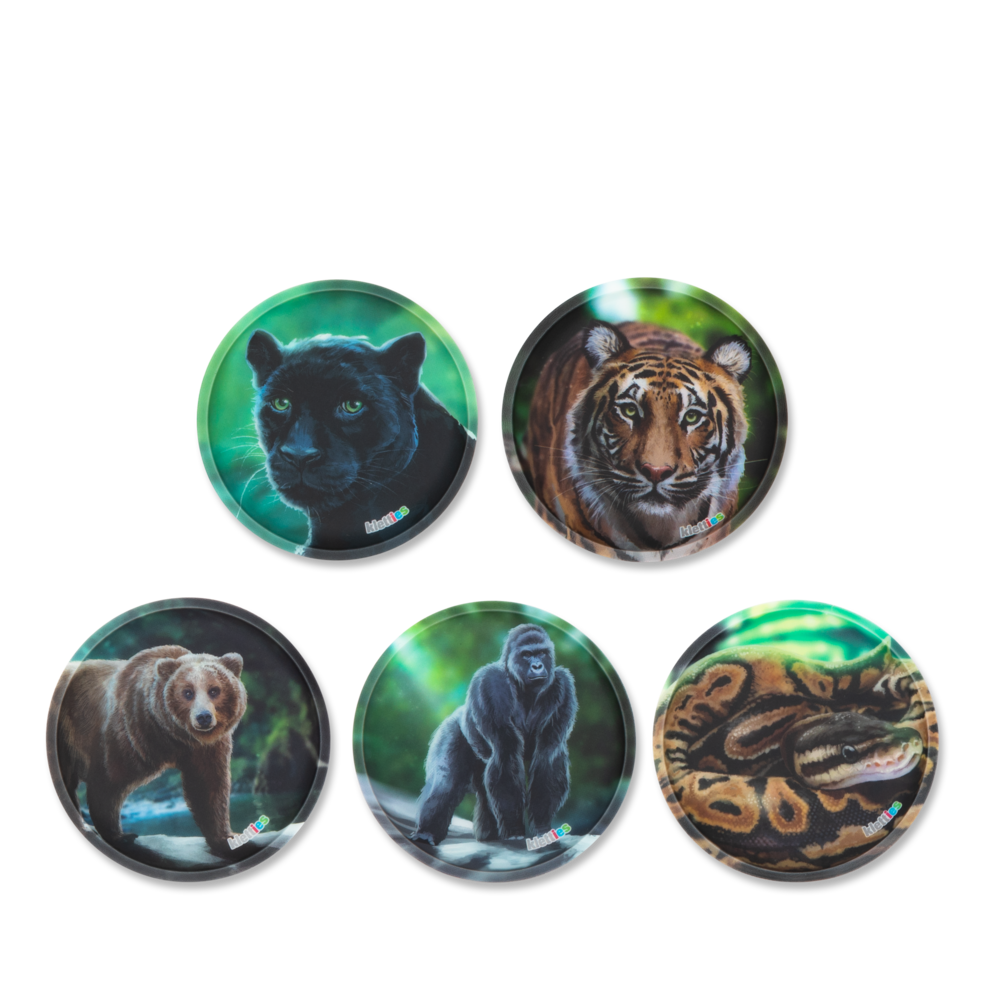 Ergobag - ergobag Klettie-Set (5-tlg.) MATT Dschungel Bunt - Gr. - One Size von Ergobag