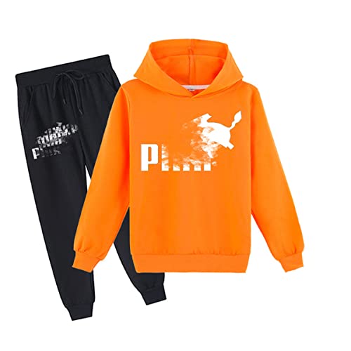 Erichman Kinder Pika Pullover Hoodies und Jogginghose 2 Stück Outfit Set Jogging Trainingsanzug Set für für 2-12 Jahre Jungen mädchen (Orange,3-4 Years) von Erichman