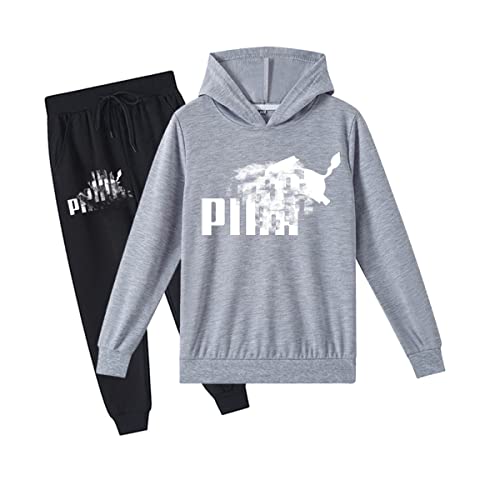 Erichman Kinder Pika Pullover Hoodies und Jogginghose 2 Stück Outfit Set Jogging Trainingsanzug Set für für 2-12 Jahre Jungen mädchen (Grey,10-11 Years) von Erichman