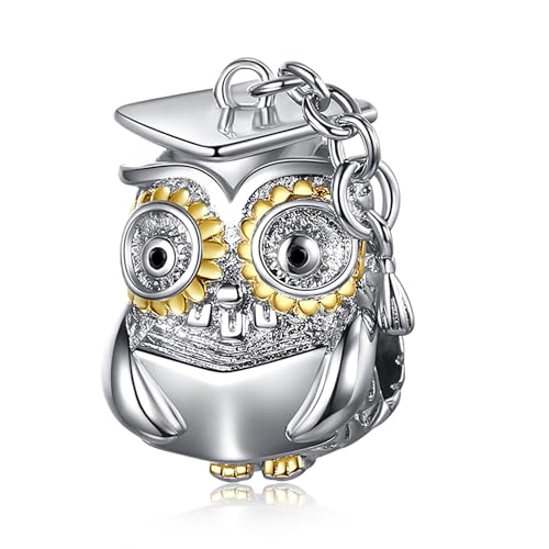 Erizteya Doctor Owl Hat Charm für Frauen Armbänder Halsketten mit 5A Cubic Zirconia 925 Sterling Silber Anhänger Perlen Schmuck Geschenk für Mädchen von Erizteya