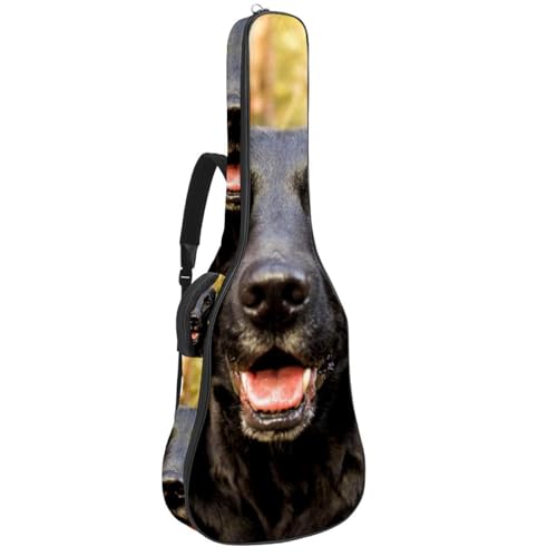 Eslifey Akustikgitarre Tasche Marienkäfer mit grünem Regenschirm Verstellbarer Schultergurt Gitarrentasche Gigbag 40 41 42 Zoll, Farbe 8, 42.9x16.9x4.7 in von Eslifey