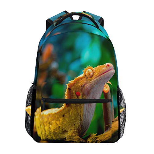 Eslifey Rucksack für Reptilien, Gecko, Eidechse, Studenten, Schultertasche, Reisetasche, College, Schule von Eslifey