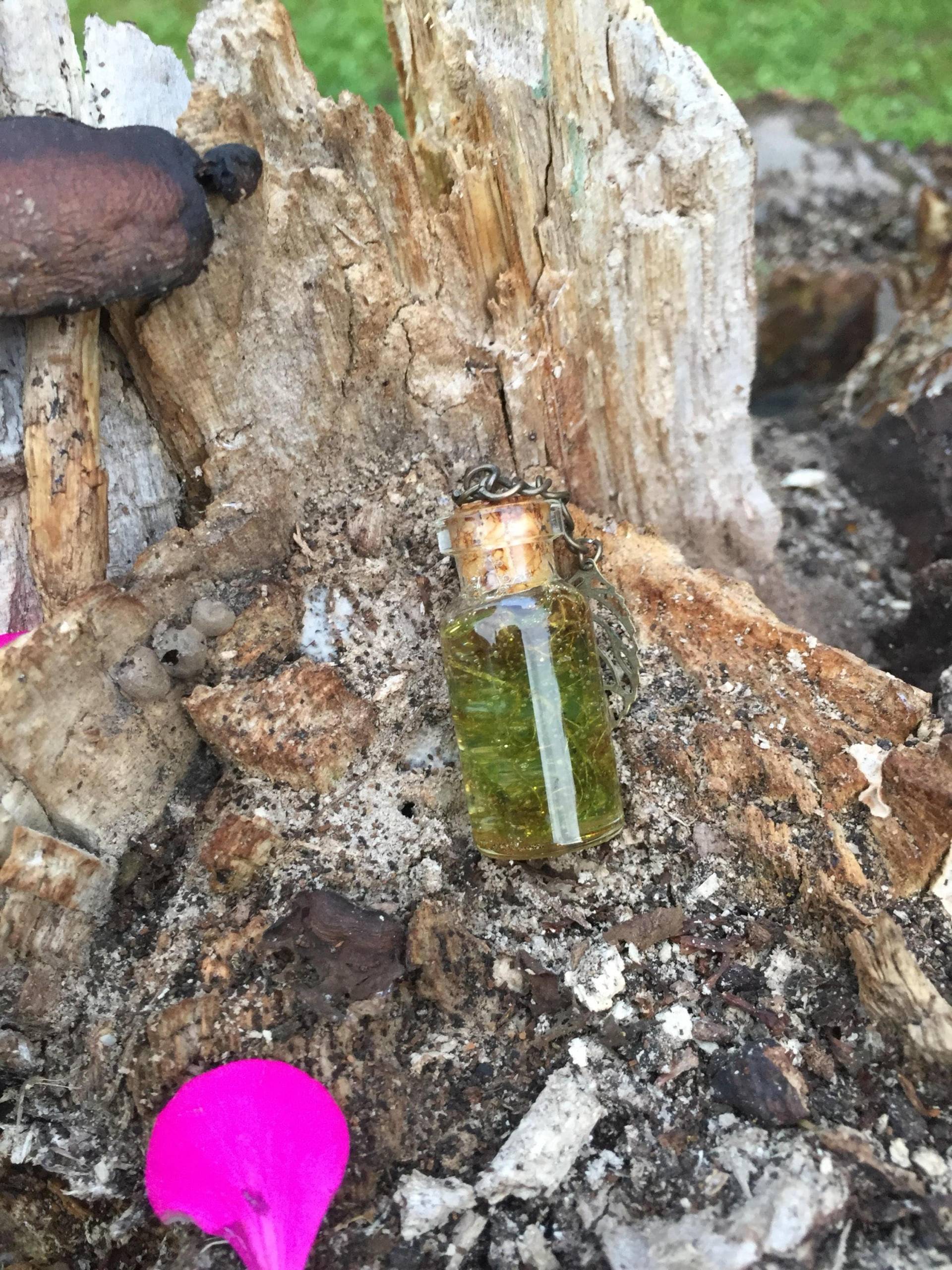 Natur-Anhänger-Fläschchen Und Glas Natürliche Schaum Natur-Anhänger-Fläschchen Und Glas Natürliche Schaum von Esotegeek