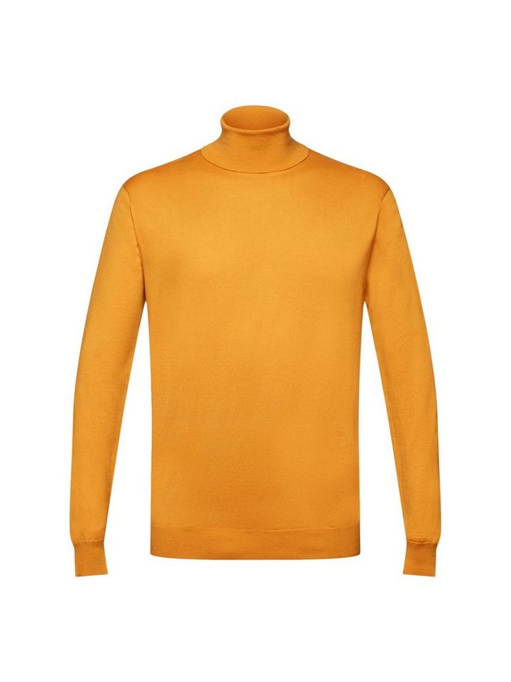 Esprit Collection Rollkragenpullover Rollkragenpullover aus Merinowolle von Esprit Collection