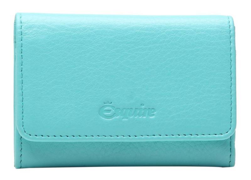Esquire Geldbörse Wallet, aus echtem Leder mit RFID-Blocker Schutz von Esquire