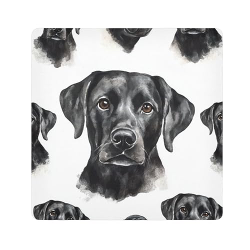 EtherSpher Kosmetiktasche für Damen, Motiv: schwarzer Hund, Cartoon, niedlich, für Kamera, Objektiv, Magie, selbstklebend, Reise-Kulturbeutel, 55 x 55 cm, Schwarzer Hund, weiß, Cartoon-Niedlichkeit, EtherSpher Kosmetiktasche für Damen, Motiv: schwarzer Hund, Cartoon, niedlich, für Kamera, Objektiv, Magie, selbstklebend, Reise-Kulturbeutel, 55 x 55 cm, Schwarzer Hund, weiß, Cartoon-Niedlichkeit, von EtherSpher