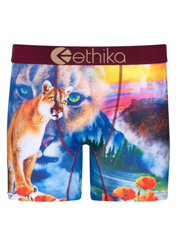 Ethika Herren Boxershorts MID | Hella, Hella, Large von Ethika