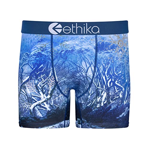 Ethika Herren Mid-Boxershorts | Arctic Vibes, Artctic Vibes, X-Large von Ethika