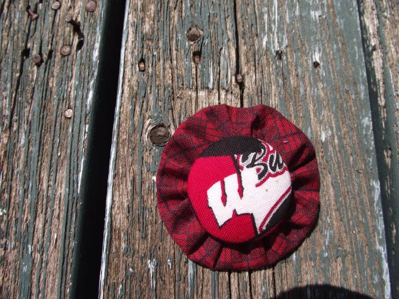 Runde Wisconsin Dachs Pin Brosche von EuthymicThreads