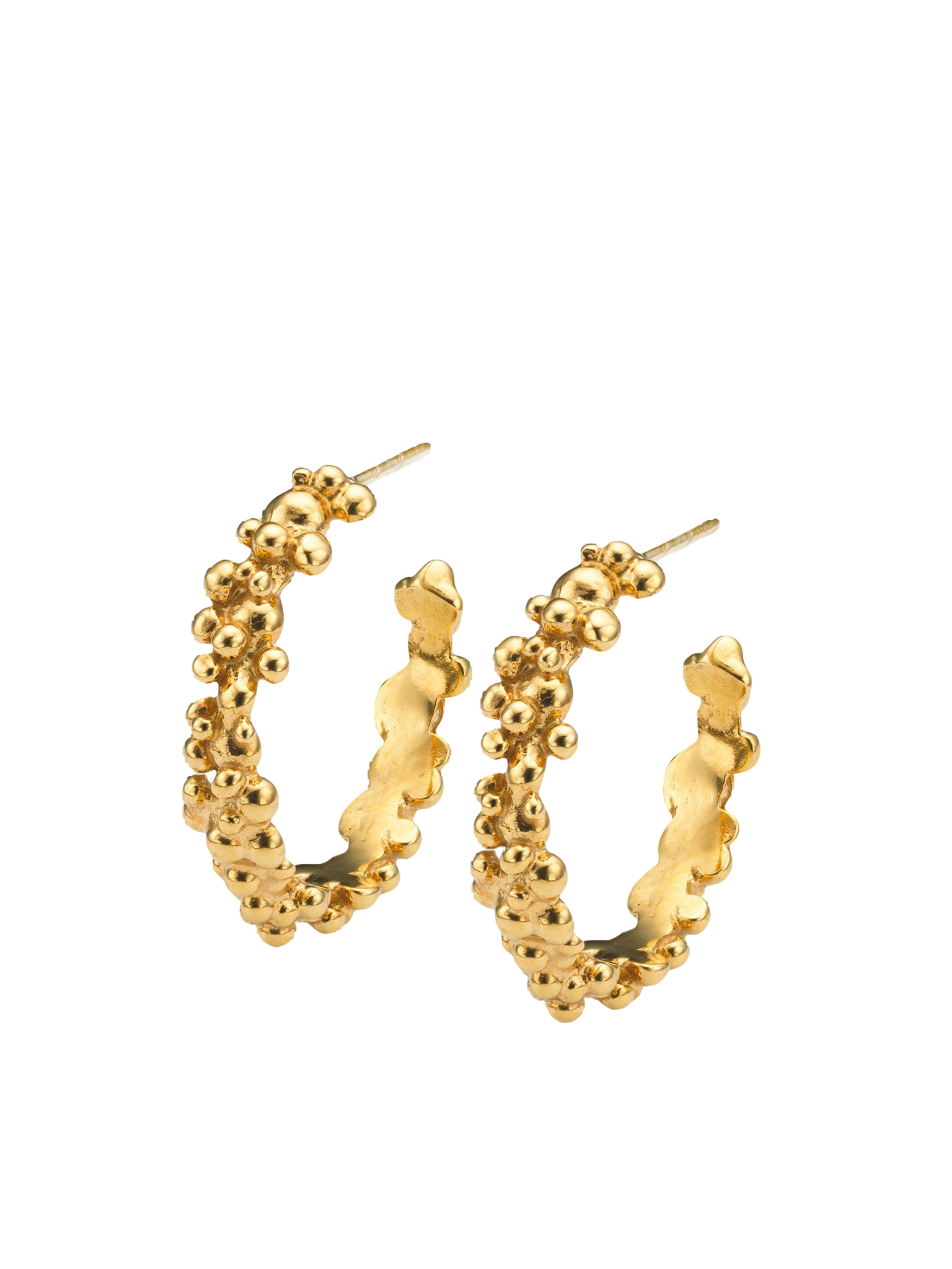 Céleste Deux Hoop Earrings Gold von Eva Remenyi