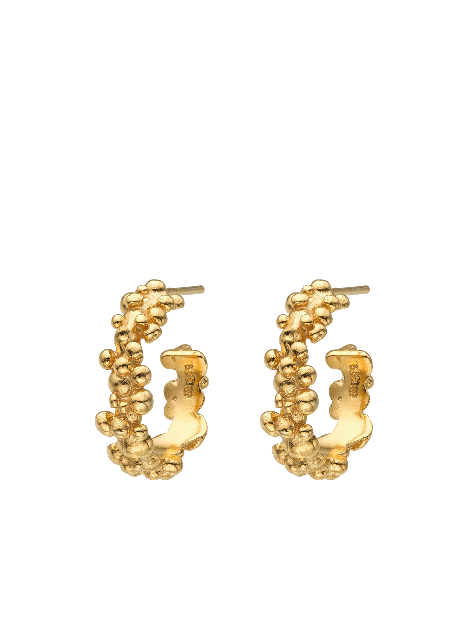 Céleste Deux Small Hoop Earrings 14 ct Gold von Eva Remenyi