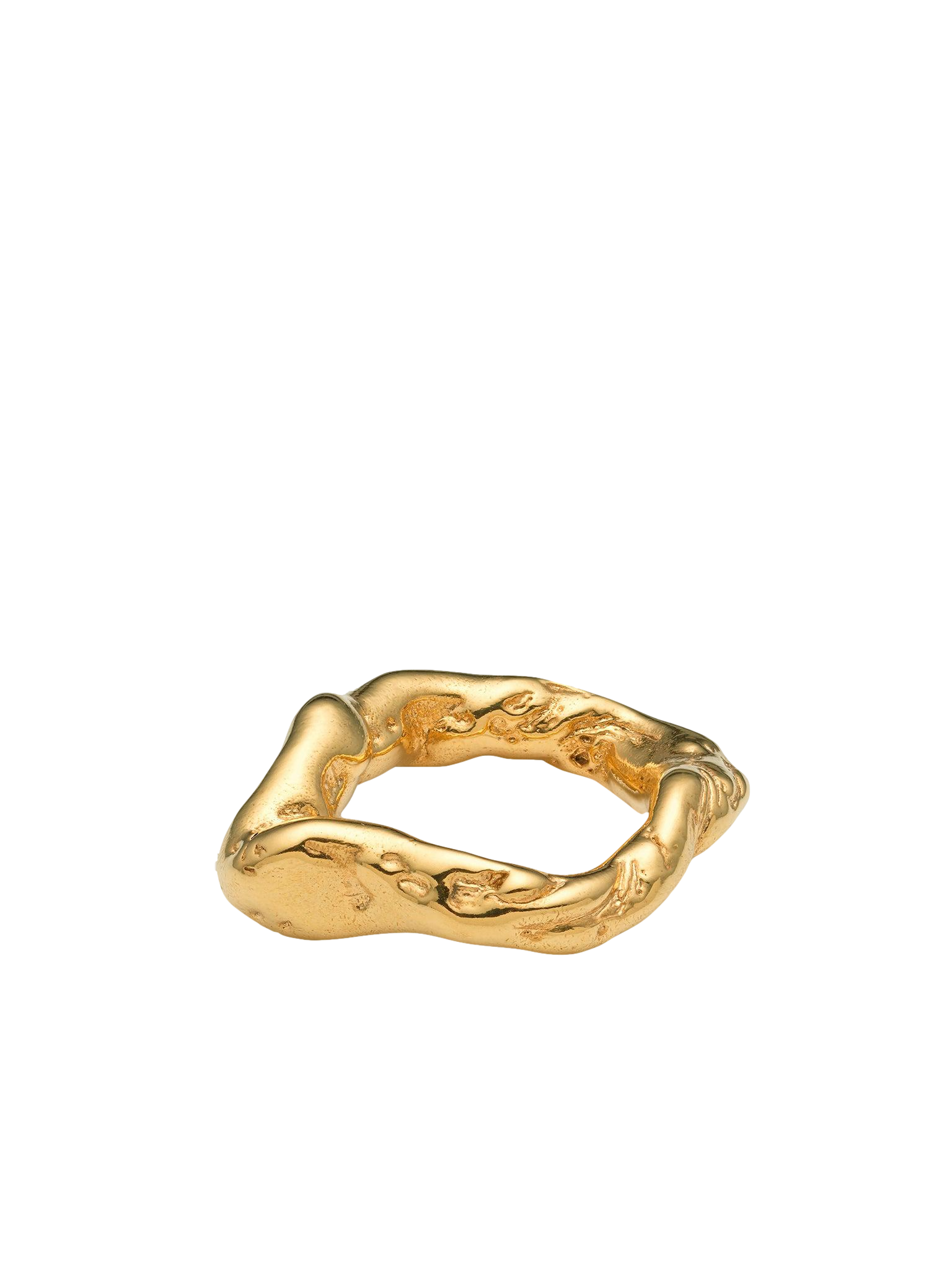 Talisman Flow Ring Gold von Eva Remenyi