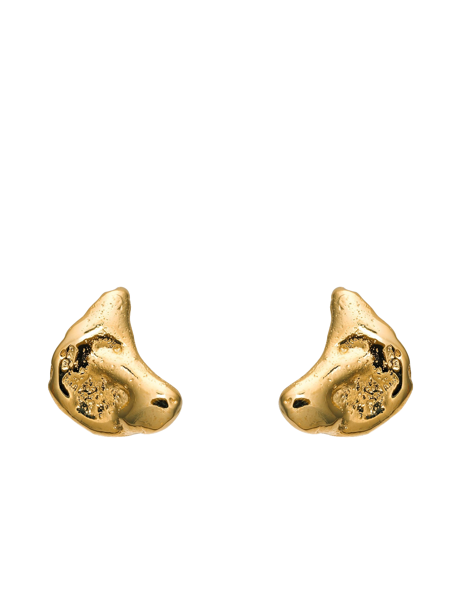 Talisman Half Moon Earrings Gold von Eva Remenyi