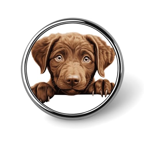 Evans1nism Appenzeller Sennenhund Hund Peeking Emaille Pins Sets Welpe Hund Tier Thema Brosche Pins Hundebesitzer Geschenk benutzerdefinierte Knöpfe Hund Mama Geschenk Abzeichen Pins Modern Revers Pin von Evans1nism