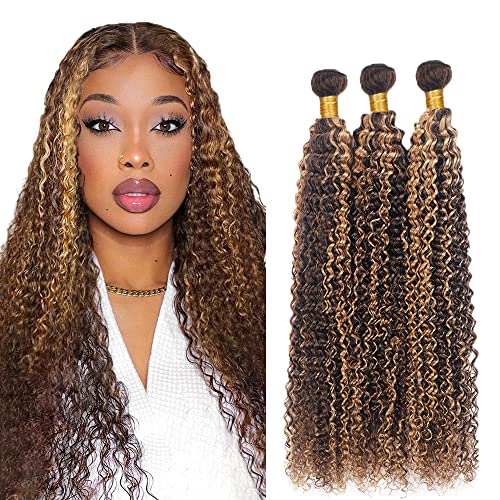 Evaxilc Kinky Curly Bundles Extension Echthaar perücke Human Hair Glueless Bundles Brazilian Virgin Hair 100% Unprocessed P427 Highlight Brown Color 3 Bundles Total 300g For Women 26 28 30 Inch von Evaxilc