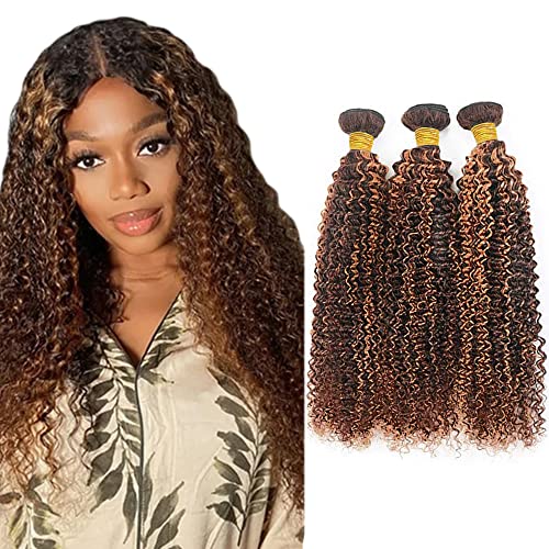 Evaxilc Kinky Curly Bundles Extension Echthaar perücke Human Hair Glueless Bundles Virgin Hair Unprocessed P4/30 Highlight Brown Color 3 Bundles Minimal Shedding For Women 12 14 16 Inch von Evaxilc