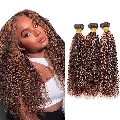Evaxilc Kinky Curly Bundles Extension Echthaar perücke Human Hair Glueless Bundles Virgin Hair Unprocessed P4/30 Highlight Brown Color 3 Bundles Minimal Shedding For Women 24 26 28 Inch von Evaxilc