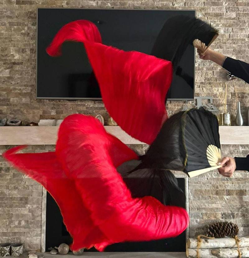 1 Paar Bauchtanz Kostüm 100% Seide Fächer Schleier | Etuifrei von EvlinSilksUSA