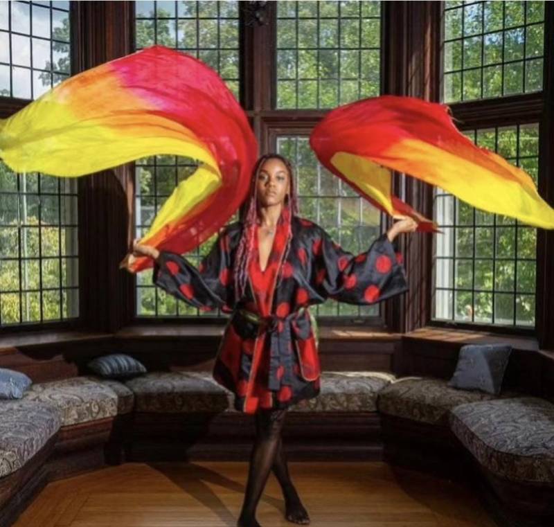 Ein Paar Bauchtanz Kostüm Seiden Fächer Schleier | Mit Etui Ein Paar Bauchtanz Kostüm Seiden Fächer Schleier | Mit Etui von EvlinSilksUSA