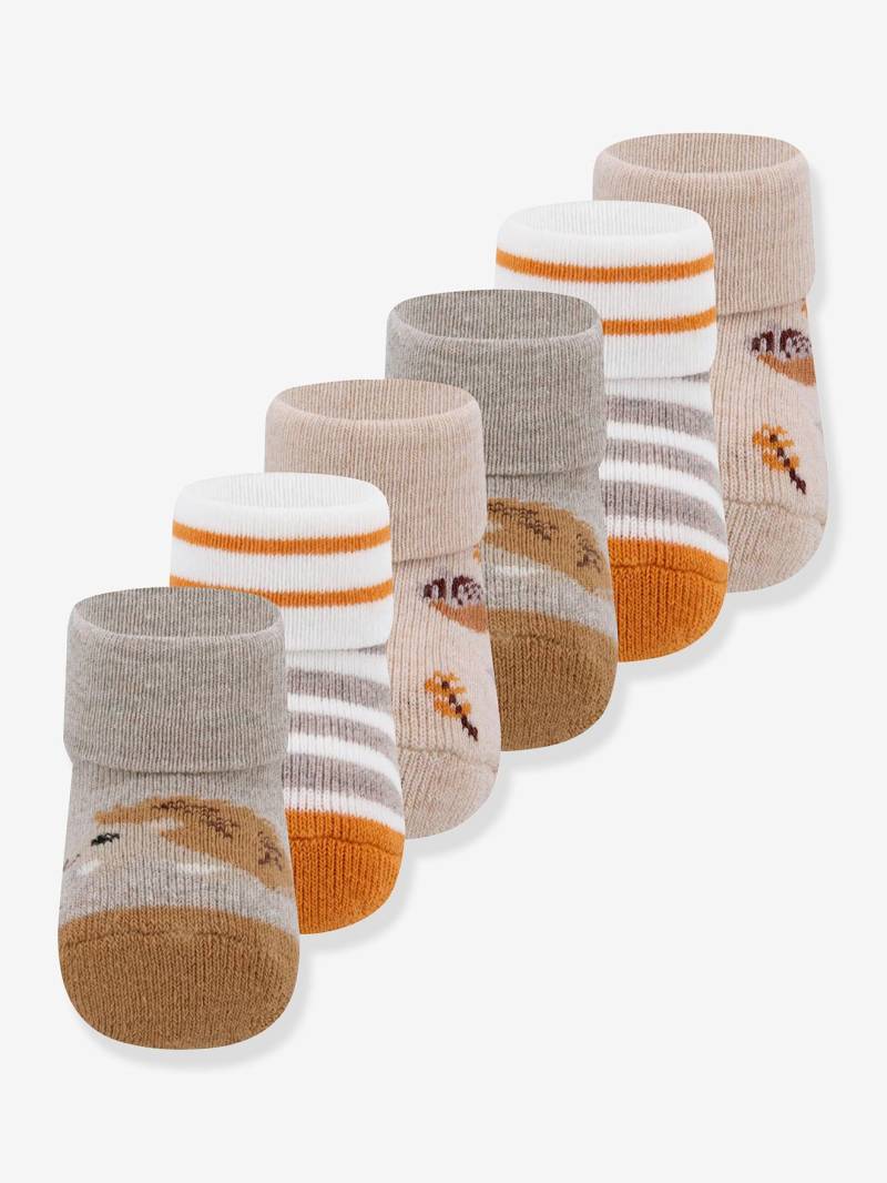 6er-Pack Babysocken Igel/Ringel/Pilze Ewers cappuccino von Ewers