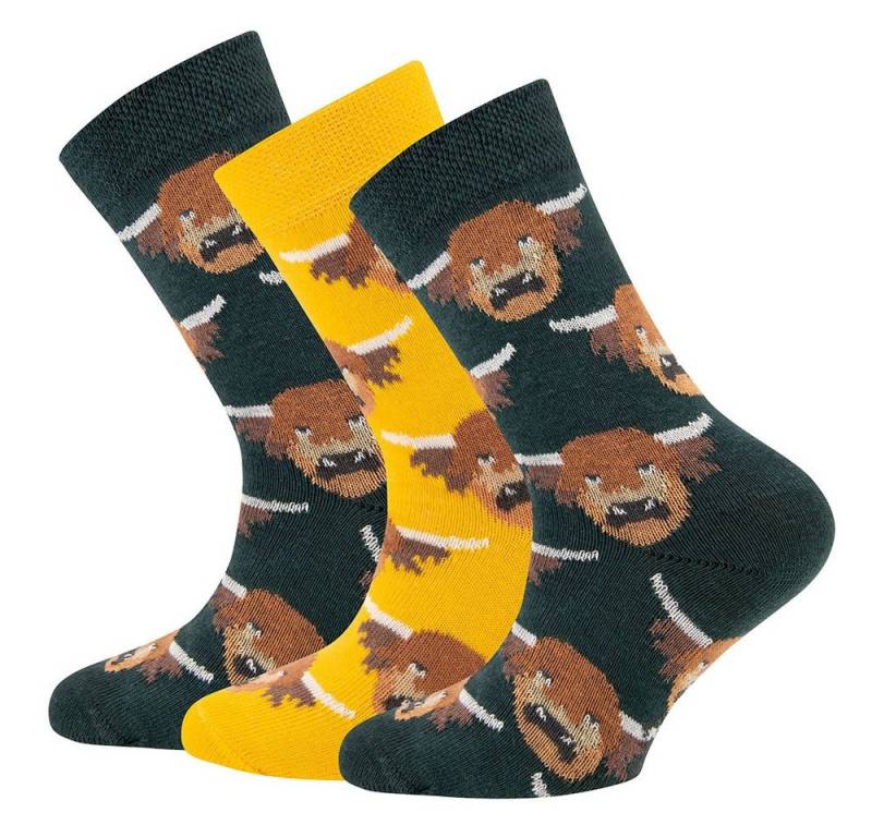 Ewers Socken Socken GOTS Galloway (3-Paar) von Ewers