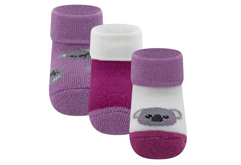 Ewers Socken Babysocken 3er Pack Koala von Ewers
