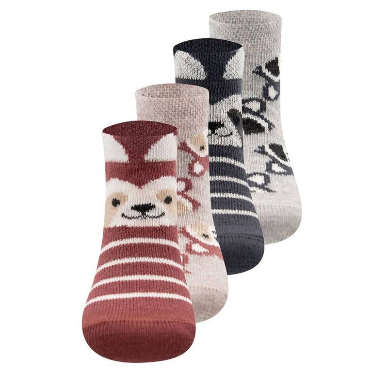 Ewers Socken Socken Waschbär (4-Paar) von Ewers