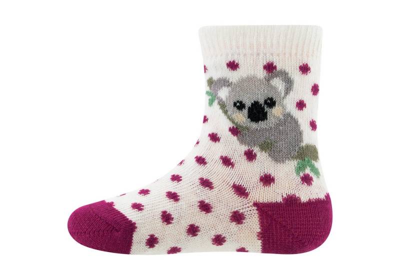 Ewers Socken Socken GOTS Koala von Ewers