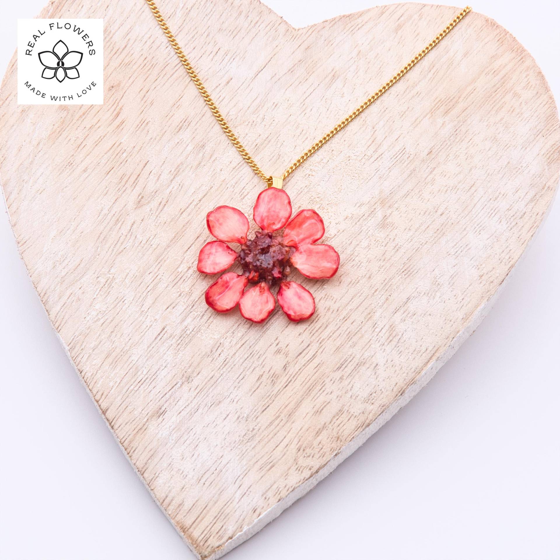 Echte Blume - Zinnia Blumen Halskette | Verstellbar Natürliches Geschenk Für Frauen Handmade Natur-Schmuck von ExoticJewelryDE