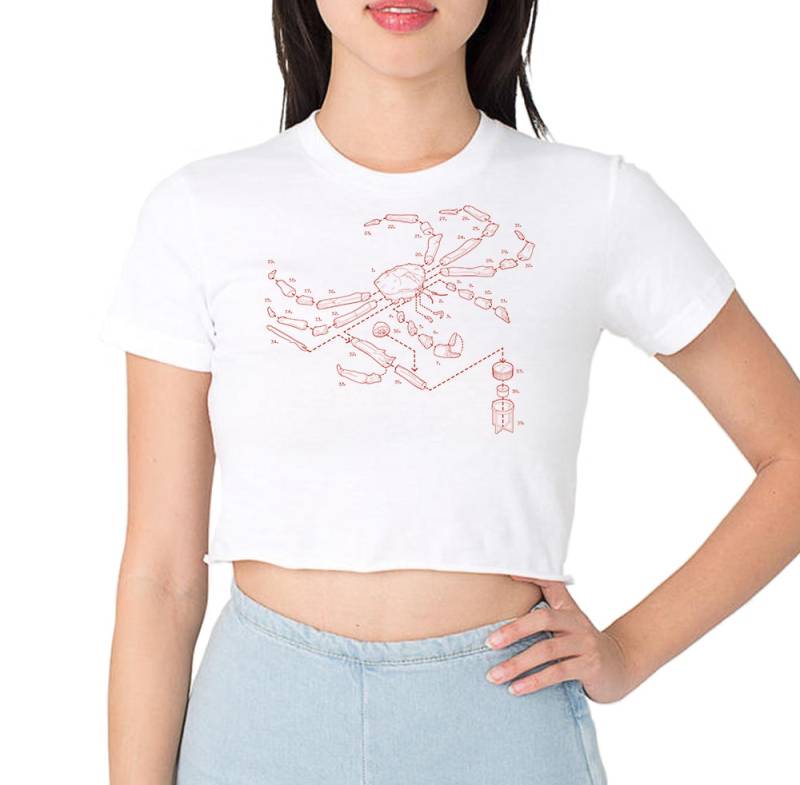 Aufgelöste King Crab Frauen Beschnitten T-Shirt von ExplodedDesigns