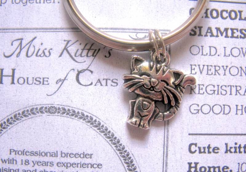 Katzen Schlüsselanhänger, Charms, Niedliche Geschenk Für Katzenliebhaber, Verrückte Katzendame Katzen Schlüsselanhänger, Charms, Niedliche Geschenk Für Katzenliebhaber, Verrückte Katzendame von EyeCandiByCandi