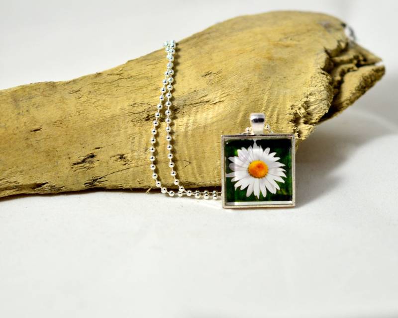 Gänseblümchen Foto Collier, Glas Fliesen Halskette, Foto-Kachel-Halskette, Etsy Suchen, Tragbare Kunst, Geschenk, Einzigartige Foto-Halskette Gänseblümchen Foto Collier, Glas Fliesen Halskette, Foto-Kachel-Halskette, Etsy Suchen, Tragbare Kunst, Geschenk, Einzigartige Foto-Halskette von EyeLuvPhotography