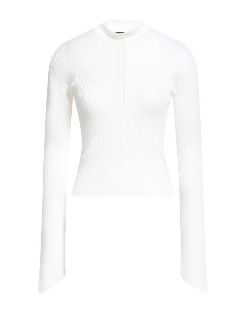 FABIANA FILIPPI Rollkragenpullover Damen Weiß von FABIANA FILIPPI