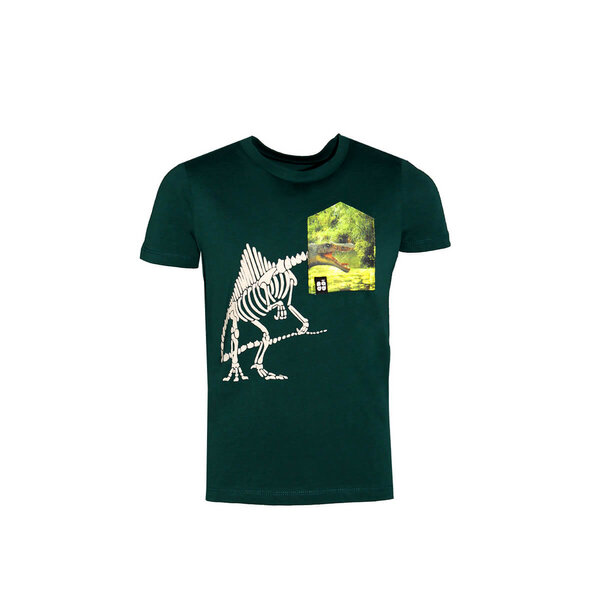 FÄDD Kinder T-Shirt Rundhals aus Bio-Baumwolle "Spino BT" Grün von FÄDD