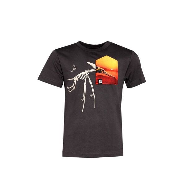 Kinder T-Shirt Rundhals aus Bio-Baumwolle "Pteranodon BT" Grau Fädd von FÄDD