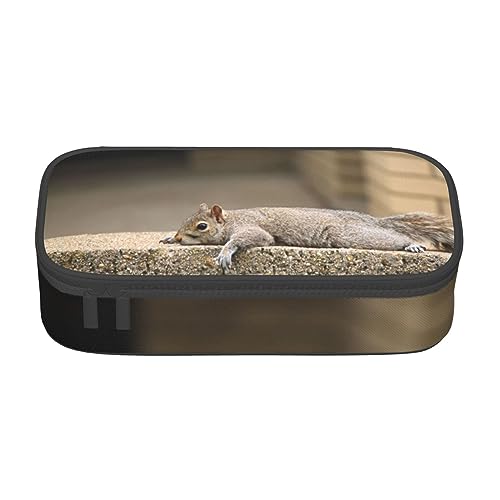 FAIRAH Eistüten gedruckt tragbare große Kapazität Fach Schreibwaren Stift Tasche, geeignet für Schule oder Büro Schreibwaren, Eichhörnchen nur liegend, Einheitsgröße, Make-up-Tasche von FAIRAH