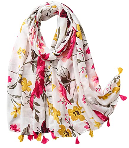 FAIRYGATE Tücher Damen Pashmina Große Tuch Schal Winter Sommer Frühling Warme Wrap Schals Stola für Frauen Abendkleid Hochzeitsschal Halstuch 36225 von FAIRYGATE