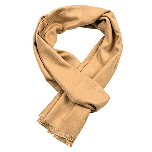 FAIRYGATE Herrenschal Kaschmir Herren Schal Wolle Kaschmirschal Cashmere Winterschal Wollschal Schal Männer Jungen Business Cashmere Scarf Men groß dick einfarbig Kaschmire Schals Warmes 12229 von FAIRYGATE