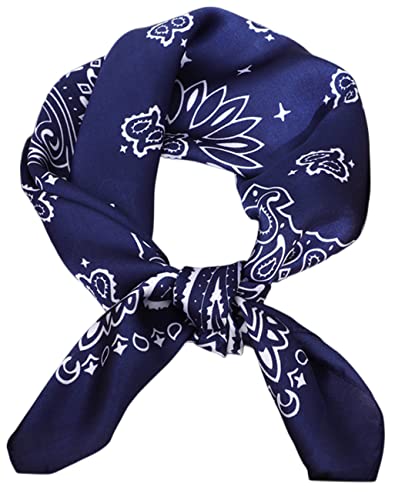 FAIRYGATE Schal Blau Damen Kopftuch Seide Schal Damen Halstücher Seidentuch Schals Halstuch Damen Seide Seidenschal Scarf Bandana Taschentuch Ansatz Handgelenk Kopftücher DA2213 von FAIRYGATE