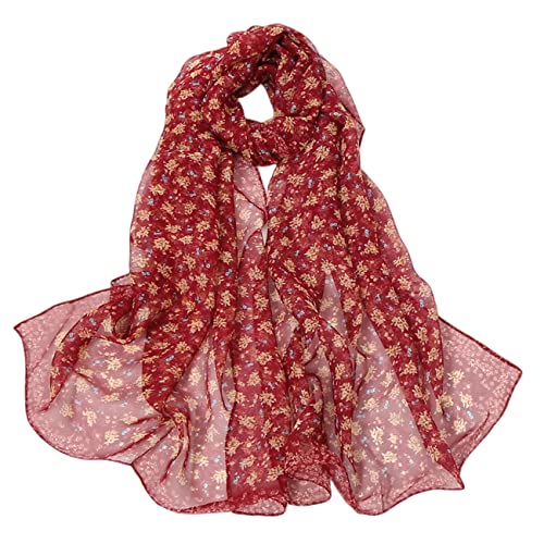 FAIRYGATE Loop Schal Damen Stola Halstuch Farbverlauf Stola Für Abendkleid Festlich Hochzeit Braut Chiffon Seidenschal 62008 von FAIRYGATE