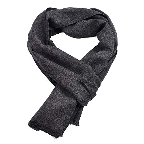 FAIRYGATE Schal Herren Herrenschal Winter Weiche Warm Kaschmir Schal in 6 Farbe Frühling Herbst und Winter Classic und Elegant Geschenke für Männer Mens Scarf 12228 von FAIRYGATE