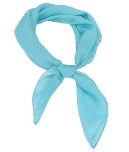 FAIRYGATE Halstuch Damen Frühling Schal Blau Seiden Kopftuch Damen Chiffon Seide Herren Paisley Seidentuch Sommer Seide Halstuch DA2916 von FAIRYGATE