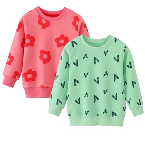 FAIRYRAIN 2 Pack of Kinder Jungen Mädchen Pullover Sweatshirt Langarm Baumwolle Dinosaurier Bagger Traktor Oberteile Streetwear 5T von FAIRYRAIN